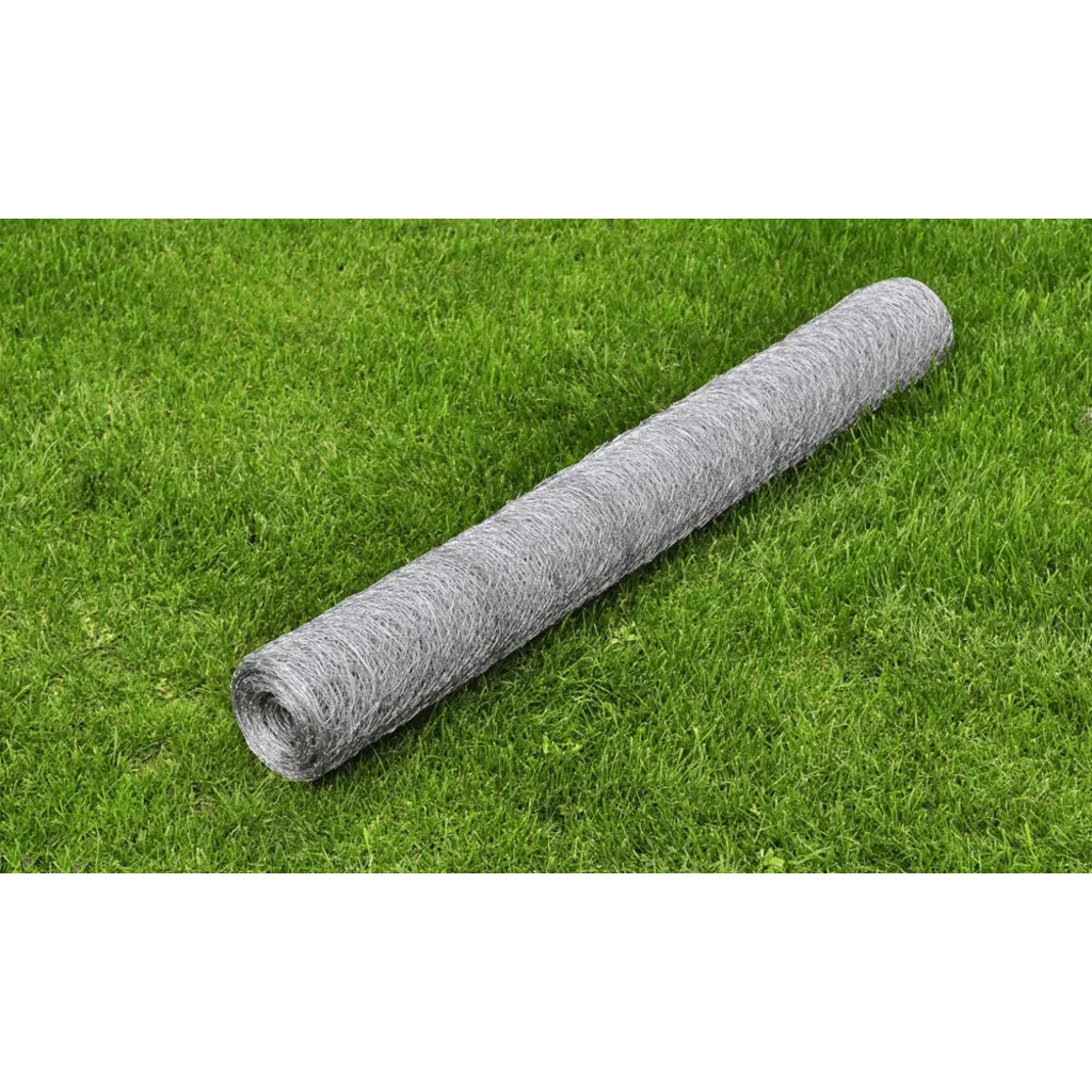 Recinzione in Rete per Pollaio Acciaio Zincato 25x1 m Argentocod mxl 79571