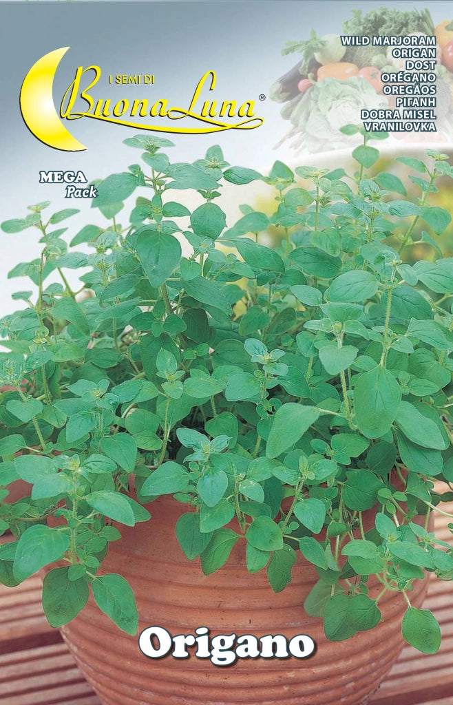 SEMI ORTO ORIGANO- HORTUS SEMENTI- 10,0 pz