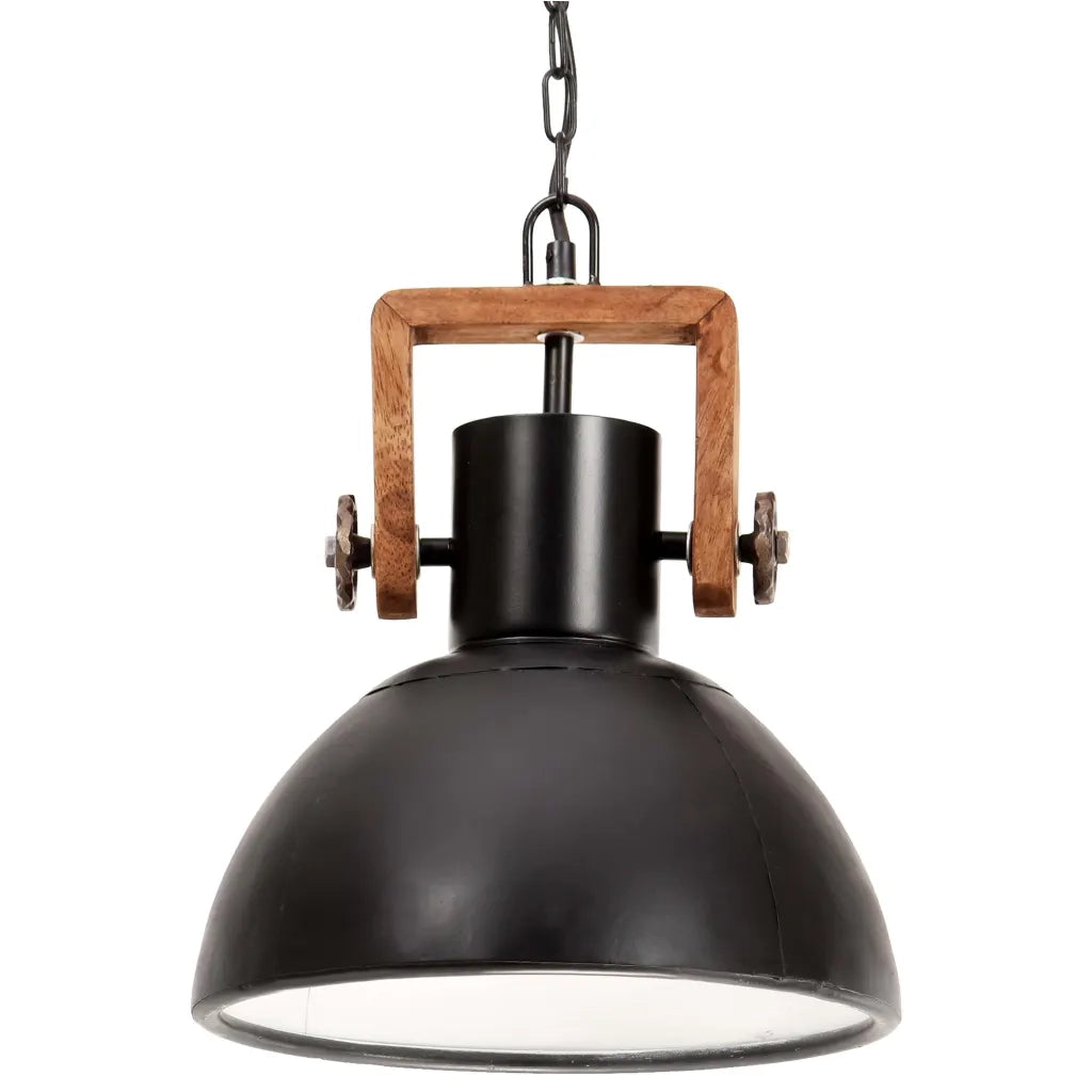 Lampada a Sospensione Industriale 25 W Nera Rotonda 30 cm E27 320536