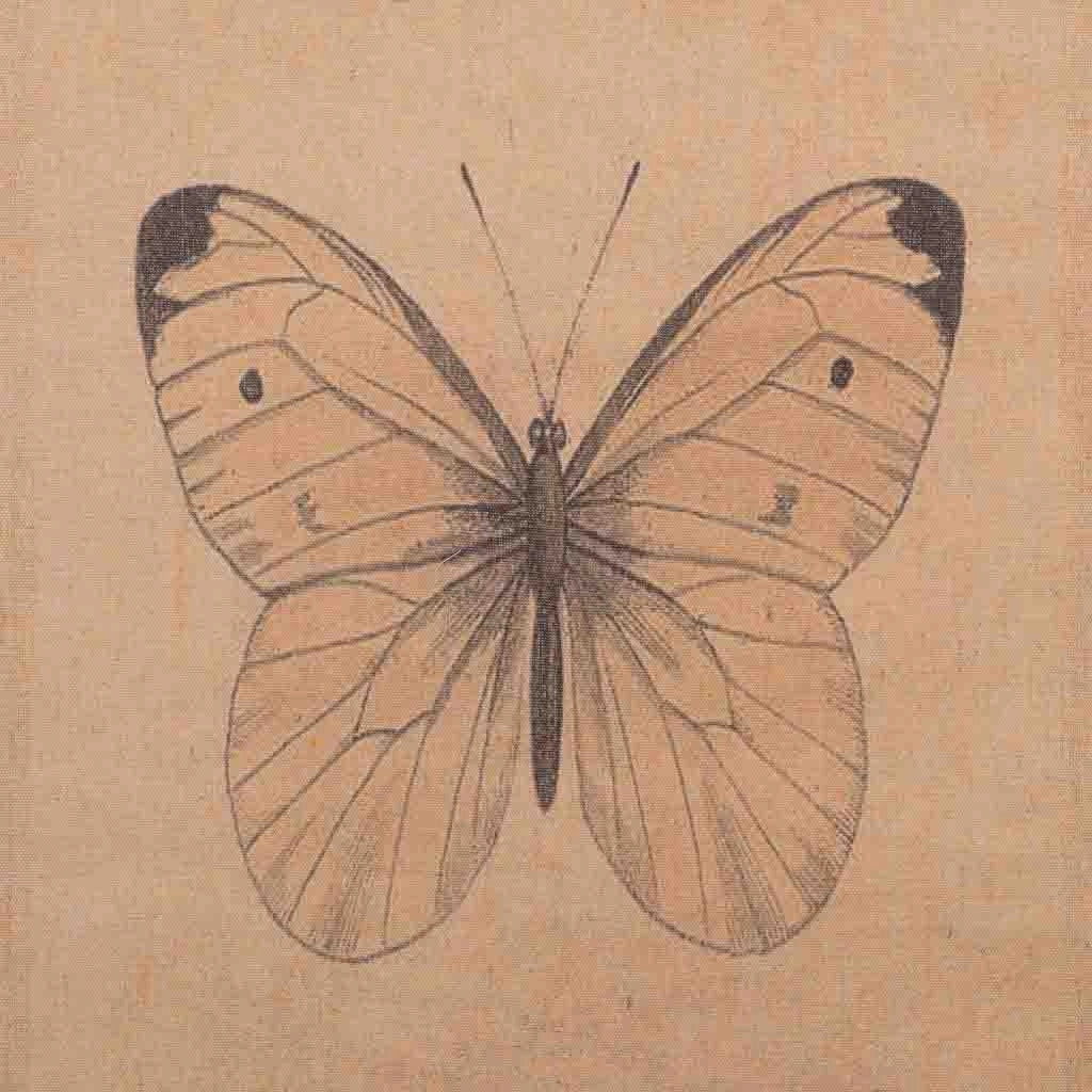 Lienzo pergamino de lino impreso 38x157x2,5h