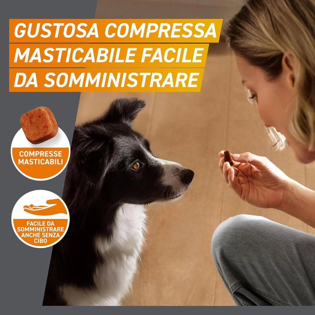 Frontpro Compresse Masticabili per Cani 24 kg Confezione 3 Compresse