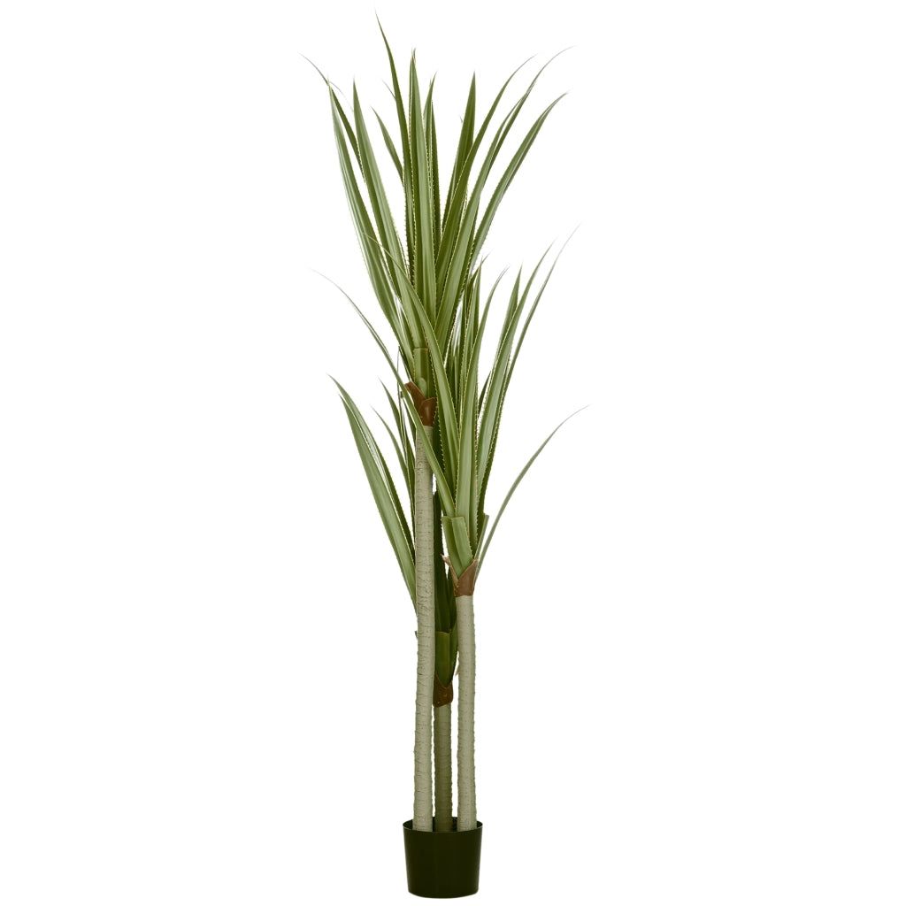 Pianta Artificiale Yucca ¨C Minimal ¨C 190 cm, Vaso PEVA e Cemento