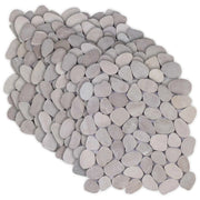 Tortora 30 x 30 cm 42033534