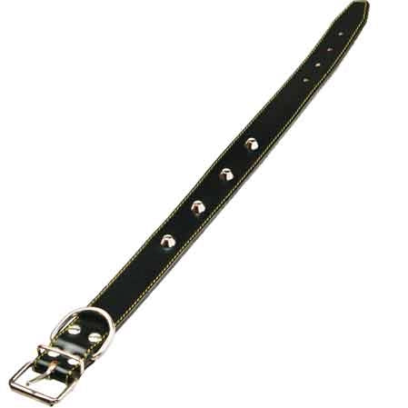 COLLARE PER CANI FODERATO CON BORCHIE 35x610 mm