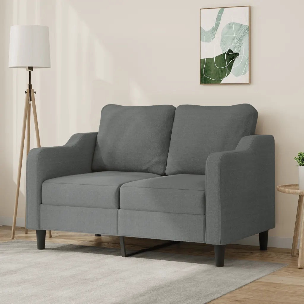 Divano a 2 Posti-Sofa 2 Posti Grigio Scuro 120 cm in Tessuto 776301