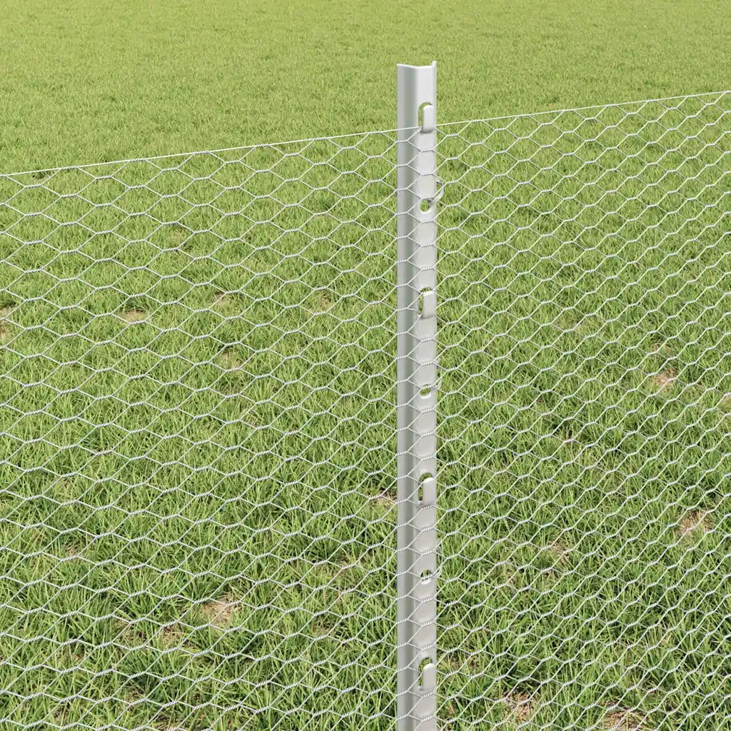 Recinzione da Giardino | Recinzione con Posto Argento