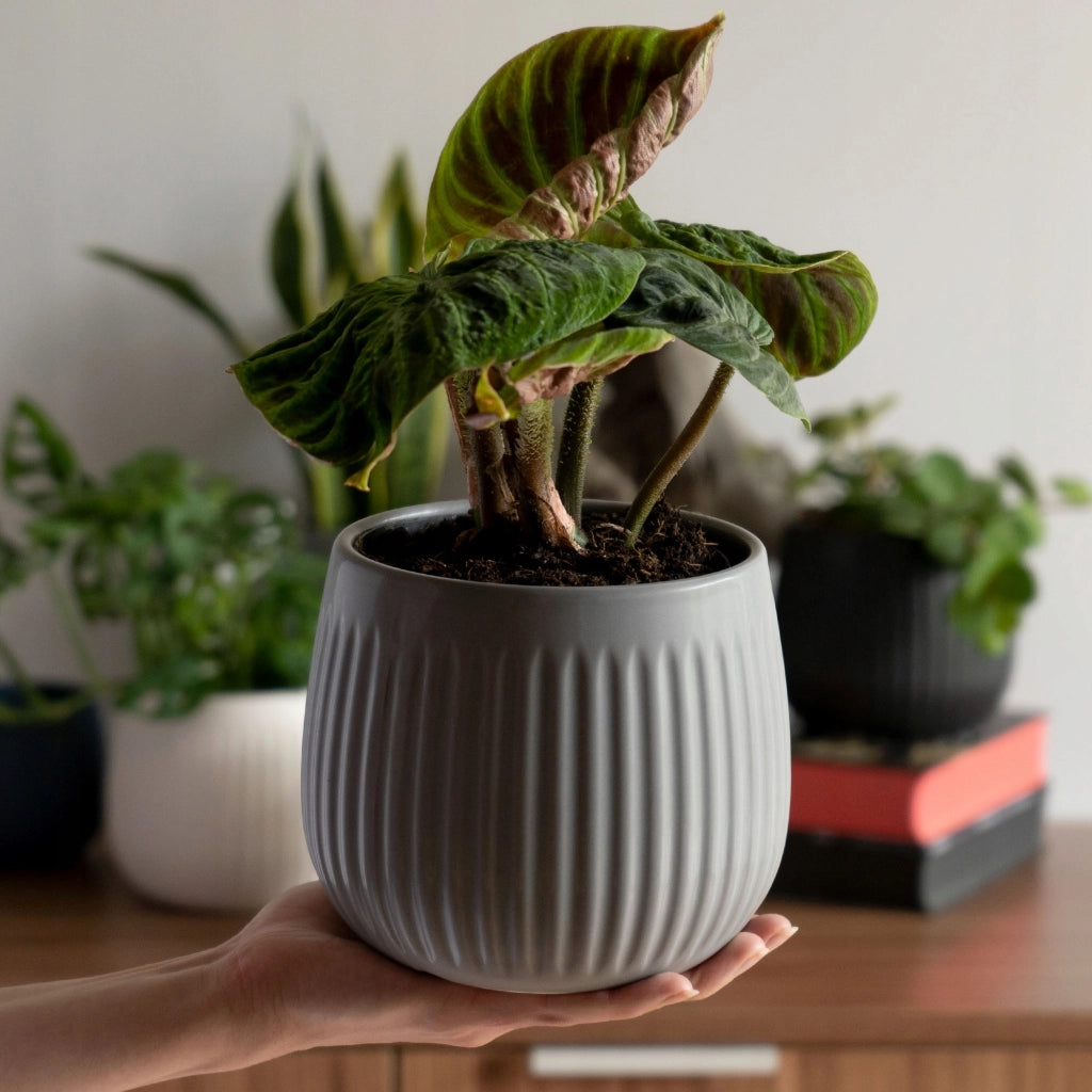 Vaso da fiori in ceramica KADAX, rotondo, 14 cm, grigio