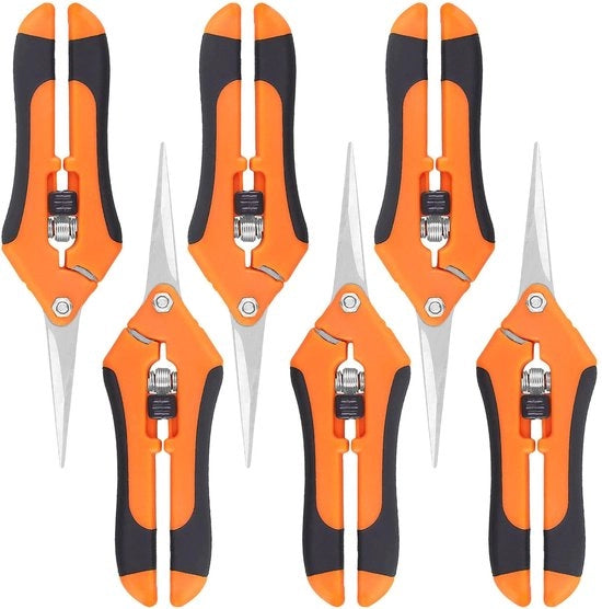 Snoeischaar Ergonomica 6 pezzi - Manico Ergonomico - Lama in Acciaio Inossidabile - Serra per Fiori - Occhialino per Potature - 17 cm - Serra per Giardino