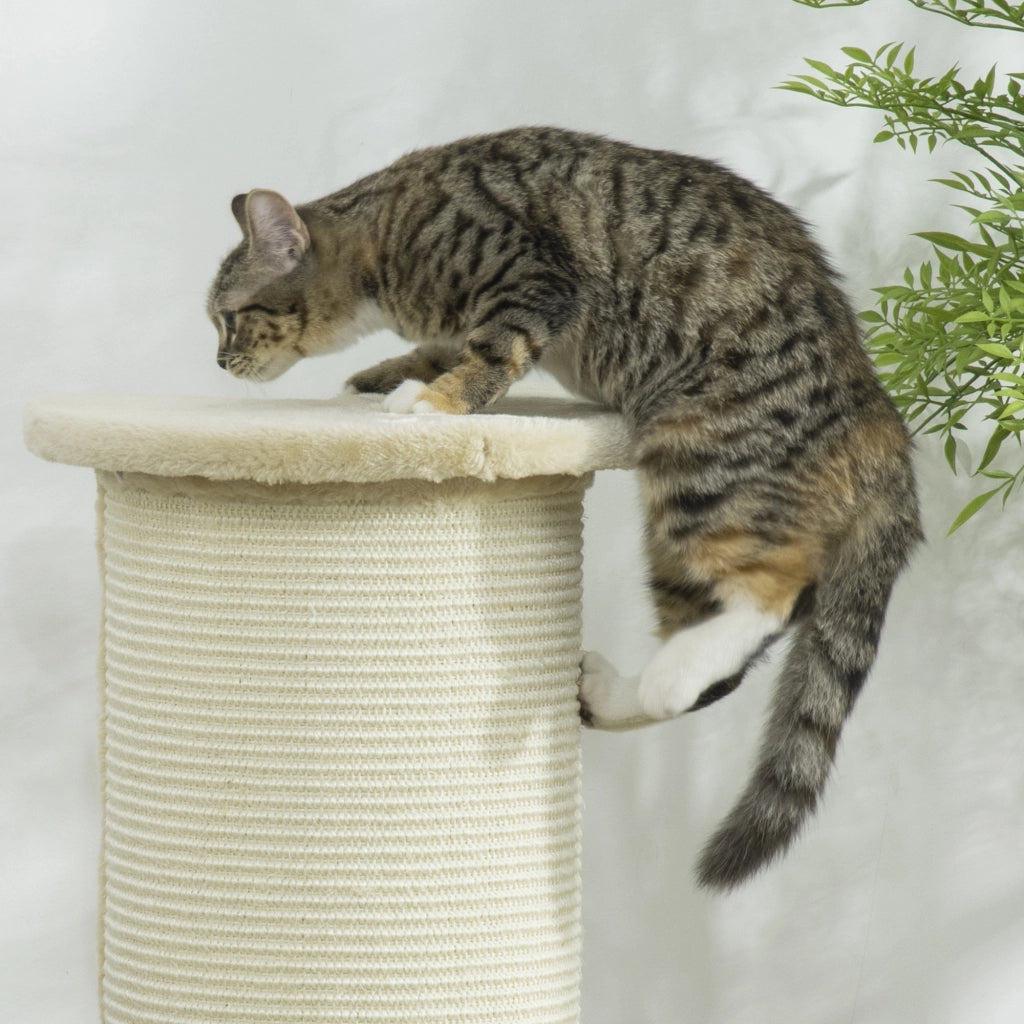 Casetta per gatti angolare ¨C Minimal ¨C 35x35x85 cm cremewei?