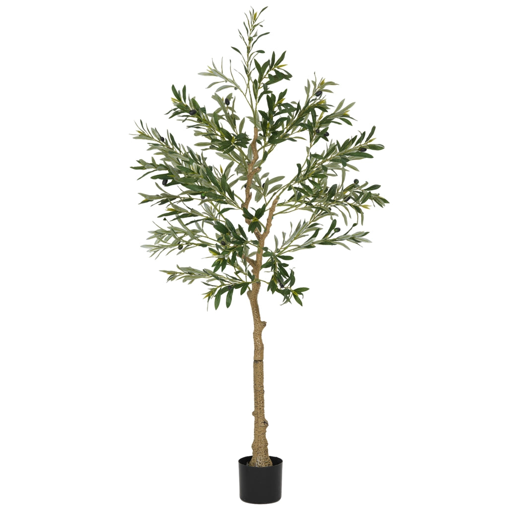Albero di ulivo artificiale ¨C Minimal ¨C 150 cm, vaso verde, 720 foglie, 40 olive