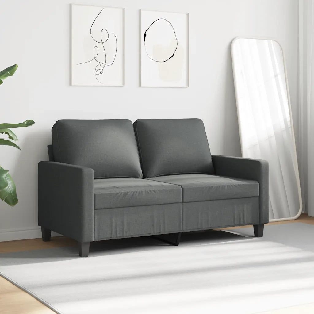 Divano a 2 Posti-Sofa 2 Posti Grigio Scuro 120 cm in Tessuto 445652