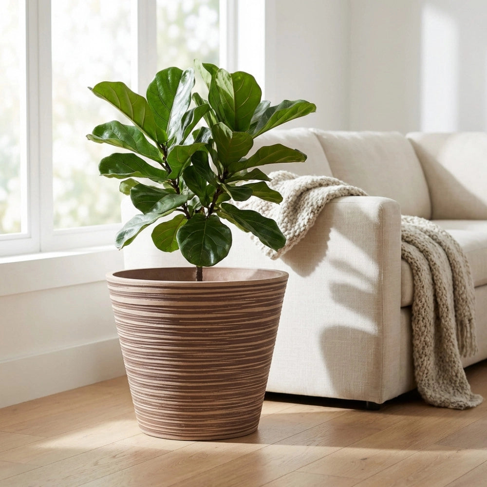 VASO GRANDE CAMELIA