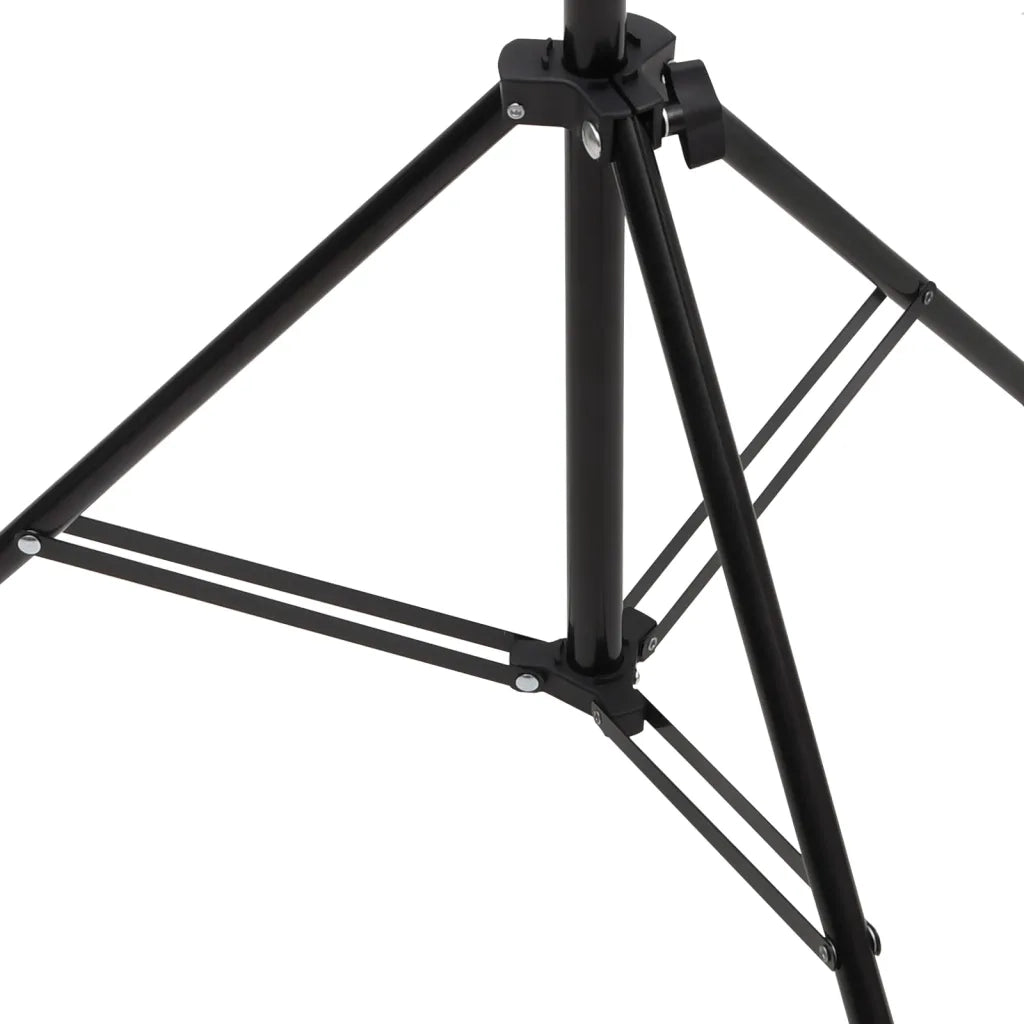 Supporto per Sfondo a T Nero 201x60x(70-200) cm CFW9206974