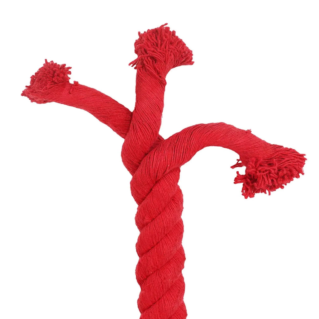 Corda Rosso 5 x 5 x 1000 cm Cotone 42011937