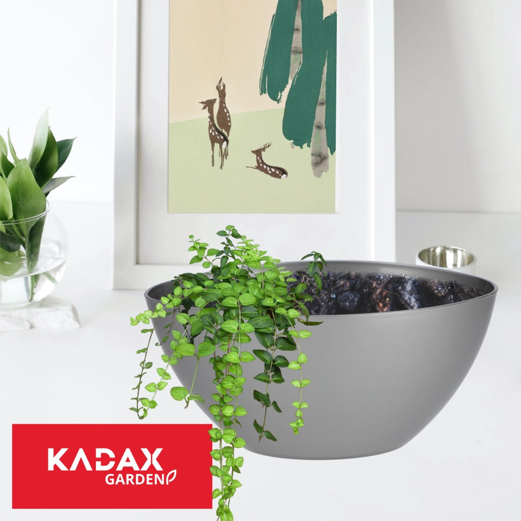 KADAX Vaso da fiori Vaso da fiori 21 cm Coperchio ovale Supporto per fiori in plastica argento