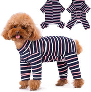 Vestiti da Notte per Cani