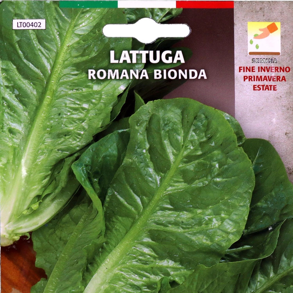 BUSTA SEMENTI LATTUGA ROMANA BIONDA