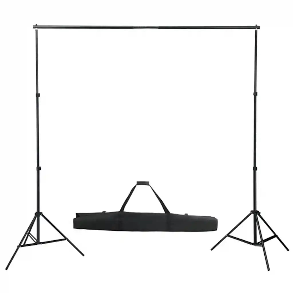 Kit per Studio Fotografico con Set di Luci e Fondale 3094746
