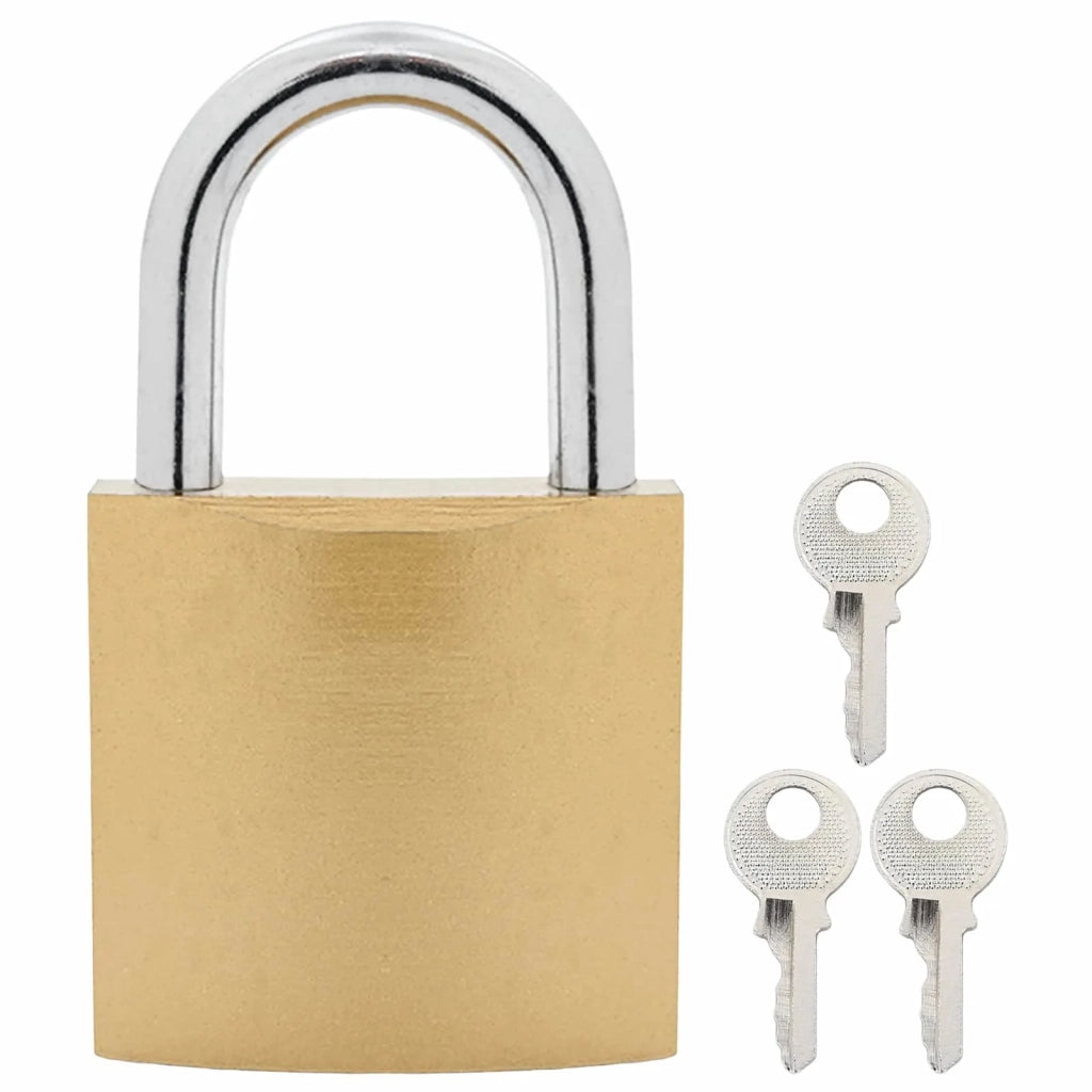 U Lock con Chiavi 6 pz Ottone Ferro CFW3126323