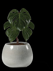 Vaso Erasmo Colore: Aqua, Materiale: Ceramica