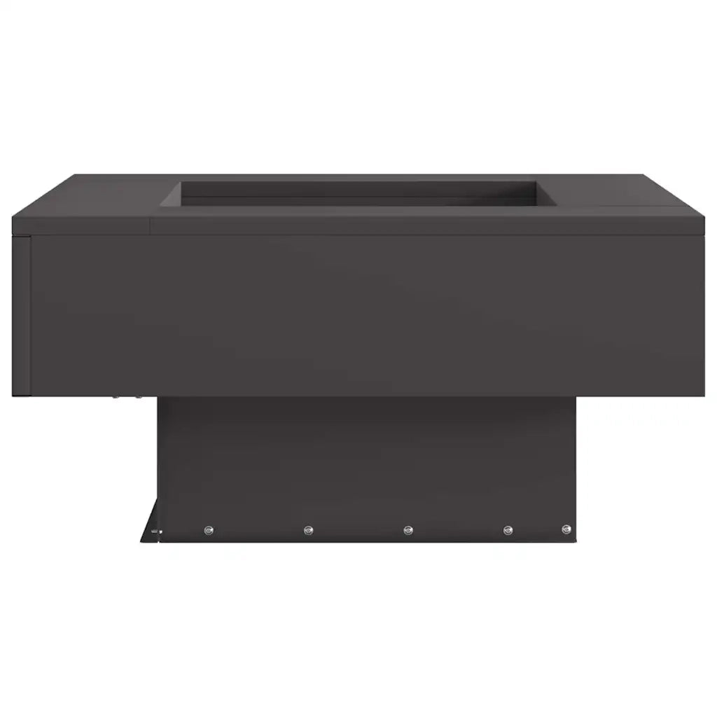 Focolare Nero 60 x 60 x 30 cm Acciaio CFW6009899