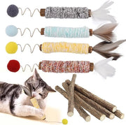 Sticks per la cura dei denti dei gatti - Matatabi stick protezione dei denti - sticks da mordere per gatti - sticks di legno per gatti - sticks per la pulizia dei denti dei gatti