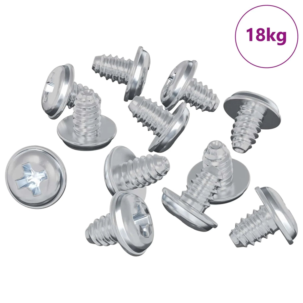 Viti a Brugola 19149 pcs Argento Ferro