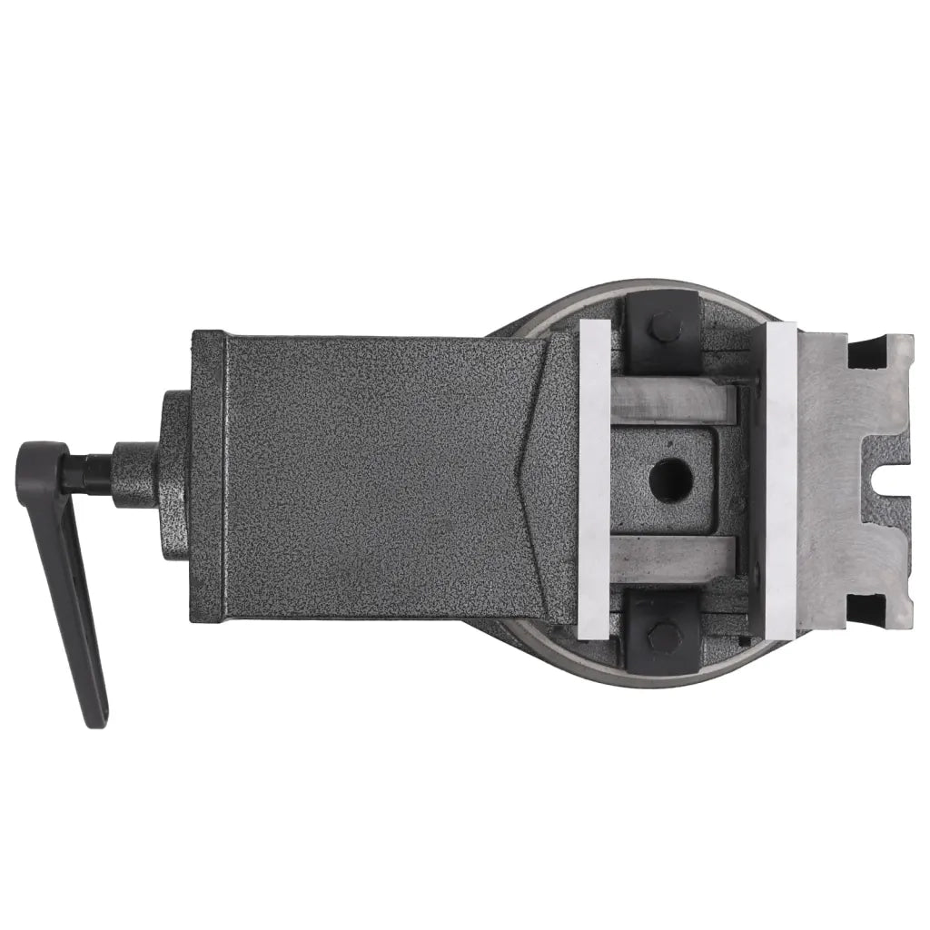 Morsa Inclinabile a 2 Assi 160 mm