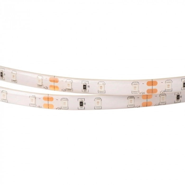 Striscia LED blu 4,8W/m 12V IP63 5m dimmer Ecolight