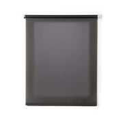 Tenda a Rullo Filtrante per finestre e porte Grigio 60x180 cm