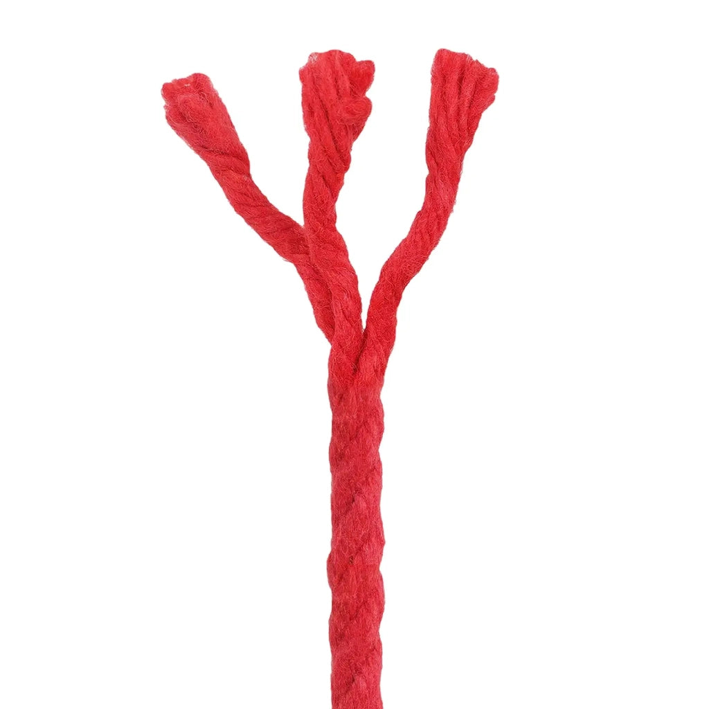 Corda Rosso 0,4 x 0,4 x 5000 cm Cotone 42011893