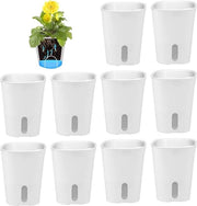 Set di vasi autoirriganti - 10 pezzi con indicatore di livello d'acqua - vaso da annaffiatura - vaso per erbe - sistema di irrigazione per interni e esterni (95cm)