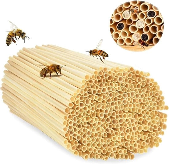 Kit di nidificazione per insetti 500 pezzi - Hotel per insetti - Assistenza nidificazione - Fai da te - Materiale a base di tarassio - Ecocompatibile - 14,5 cm di altezza