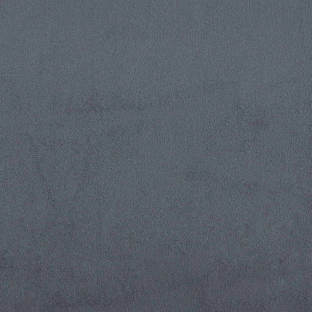Divano | Divano da soggiorno | Sofa a 2 Posti Grigio Scuro in Velluto