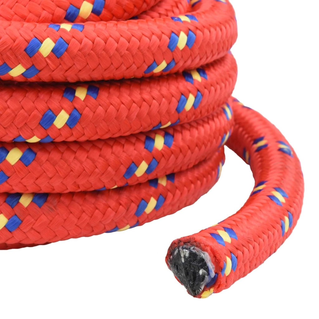 Corda | Fune da Barca 5 m 3 Rosso PP