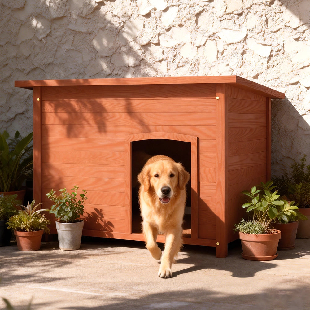 Cuccia per Cani Grande per Esterno 116x79x81 cm con Tetto Apribile in Legno di Cipresso