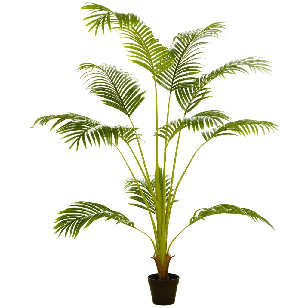 Palma Areca Artificiale ¨C Minimal ¨C Verde 170 cm ?15 cm