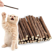 Sticks per il gatto 30 pezzi - Sticks per la cura naturale dei denti - Tandverzorging - Salute orale - Sticks in legno - Sticks rinfrescanti per la bocca
