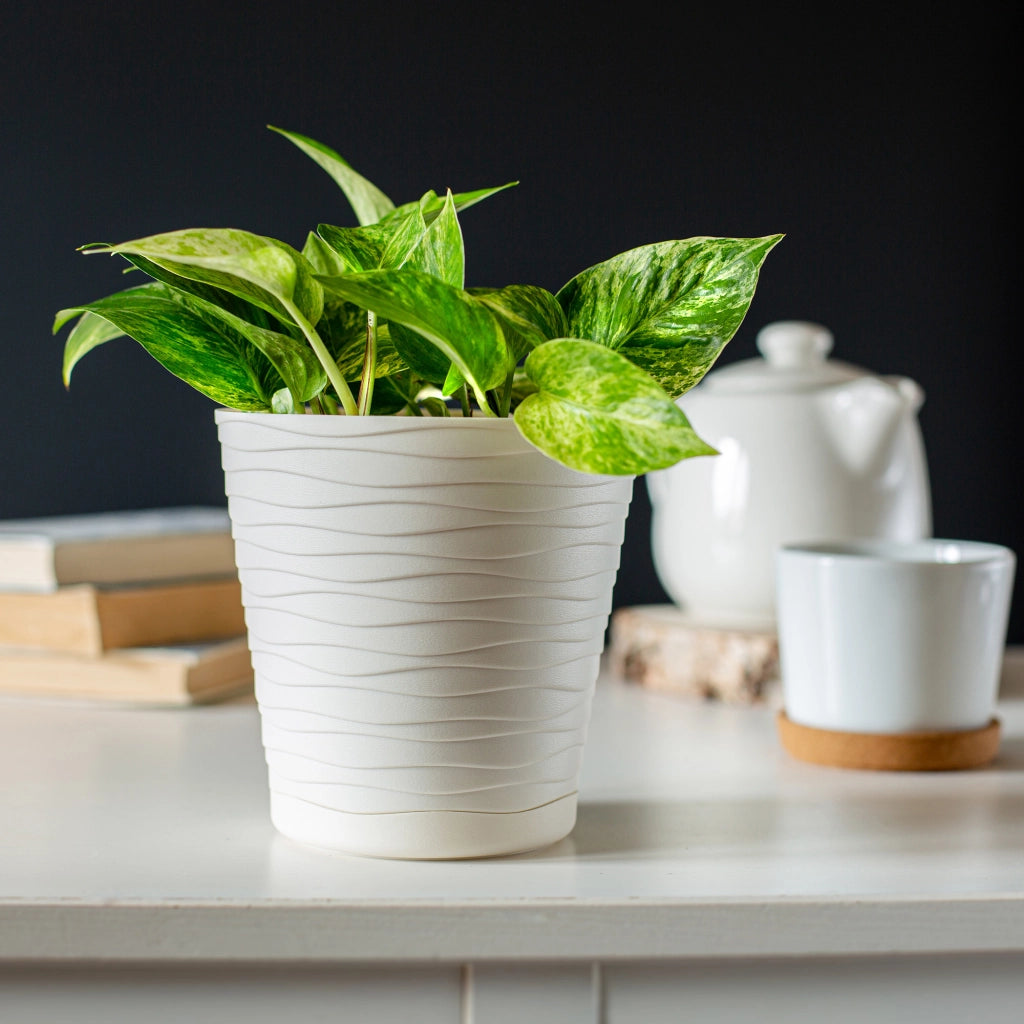 Vaso da fiori KADAX da 13 cm, coprivaso in plastica con supporto.