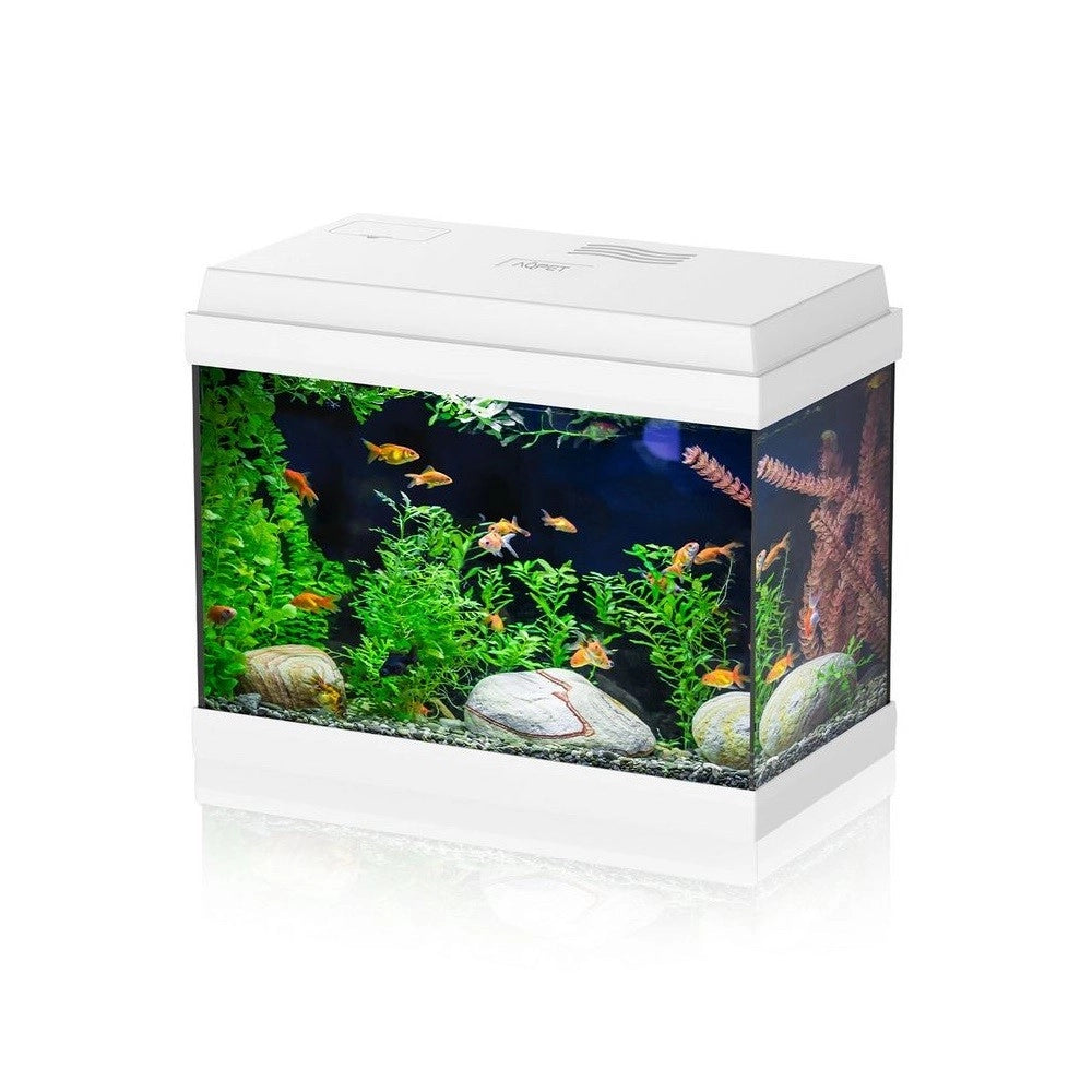 Aqpet Simply LED 30 bianco - acquario cm39x22x30h completo di filtro e illuminazione