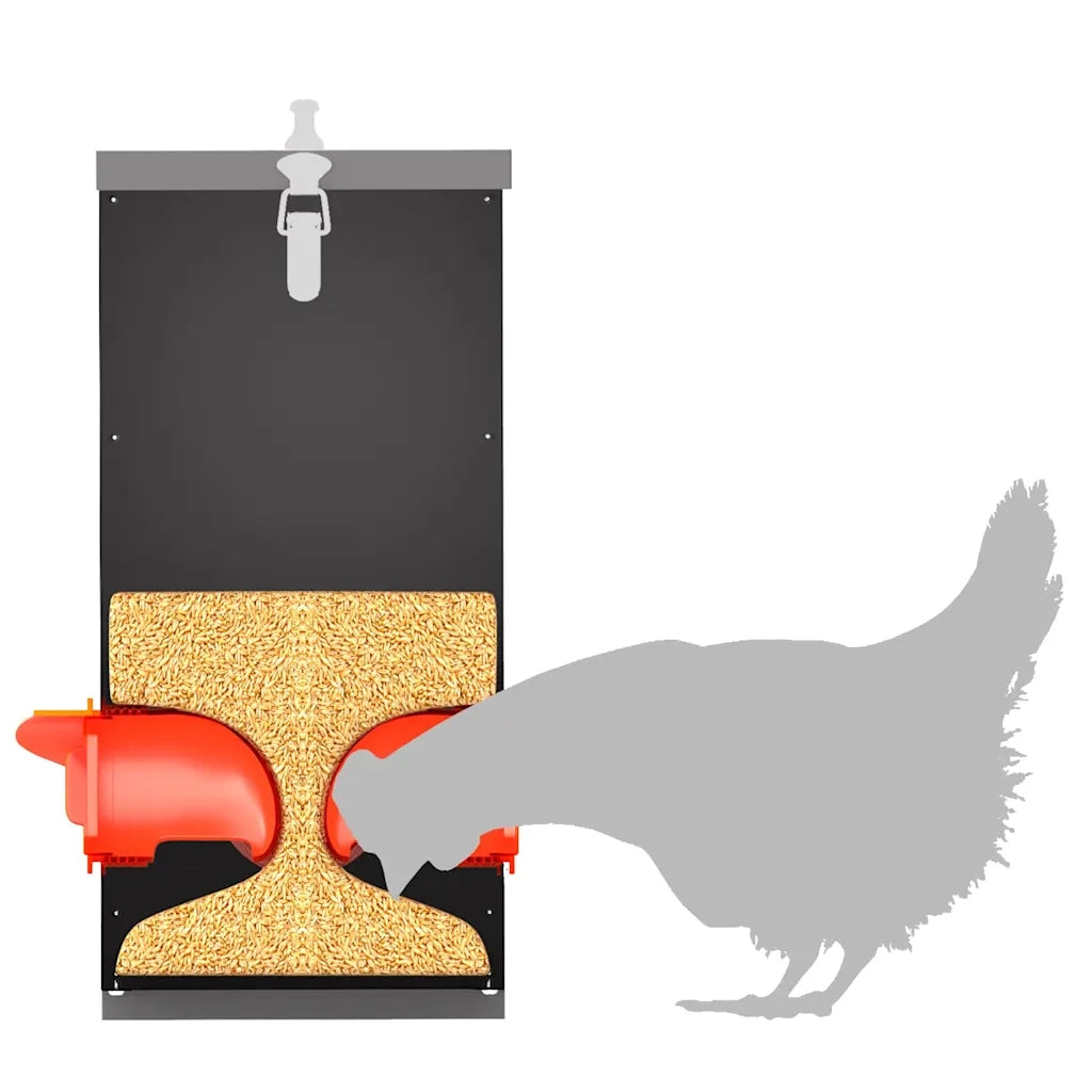 Feeder per pollo 2 pz Nero 32,5 x 20,5 x 43 cm CFW9194391