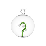 Palla di Natale fiore bianco botanica