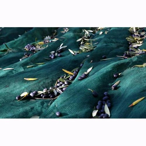 Telo Antispina Rete per raccolta Olive LIGHT in ROTOLO h: 6x166 MT - 33 gr/mq colore Verde