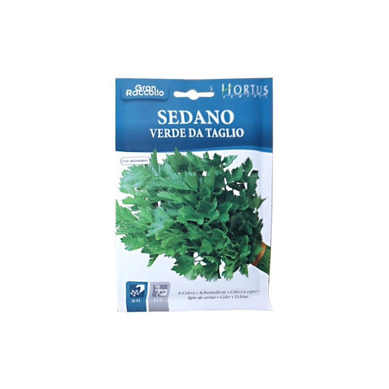 Sedano Verde da Taglio Gran Raccolto