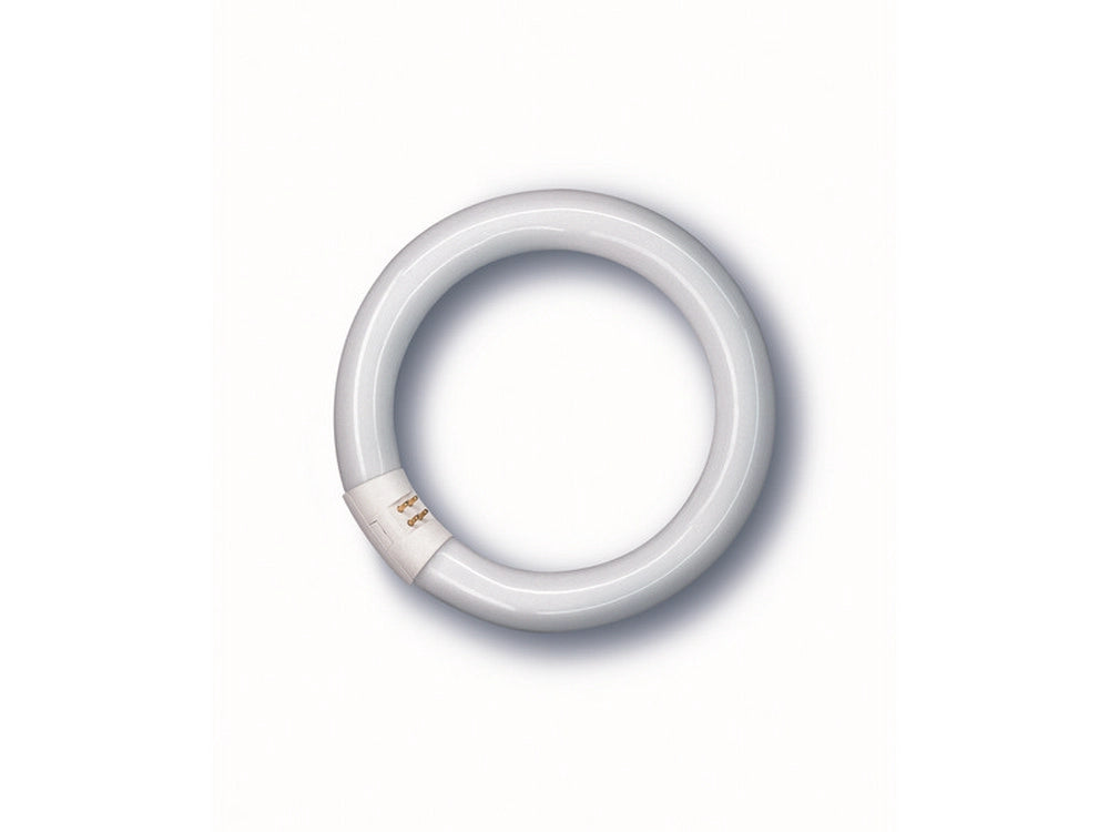 12pz neon fluorescente lumilux circolare g10q-luce naturale 22w-1350 lumen-cm.22 cod:ferx.vit41708