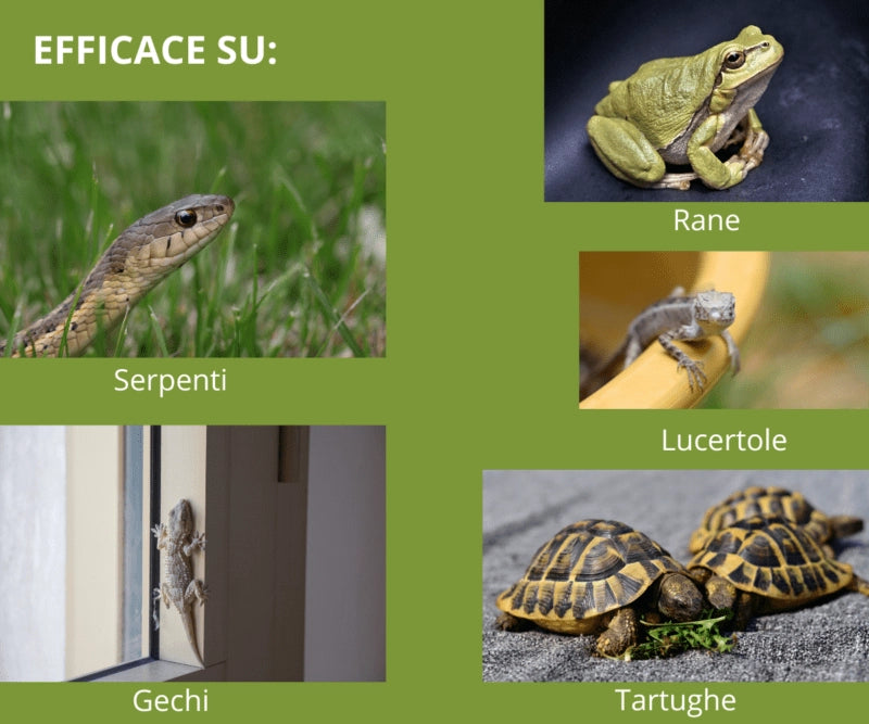 Disabituante Rettili