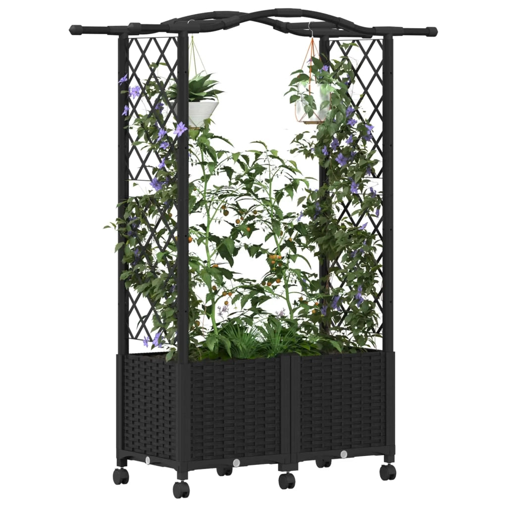 Letto Rialzato con Griglia e Tetto Nero 125 x 40 x 144 cm PP 3423014