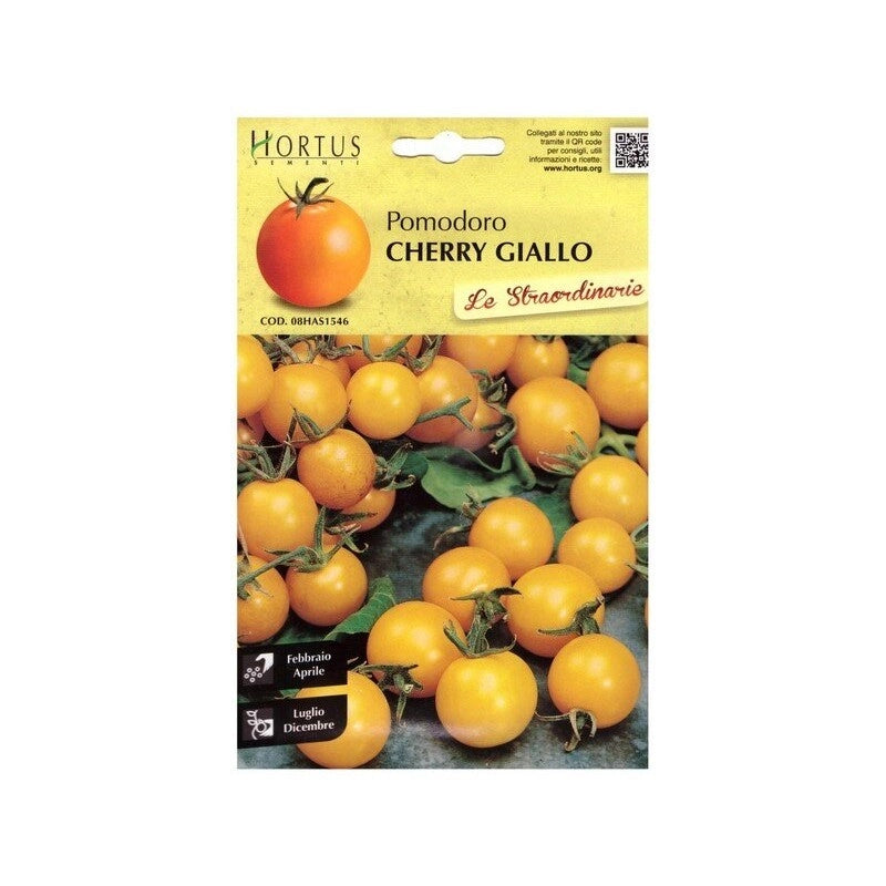 Pomodoro Cherry giallo straordinarie