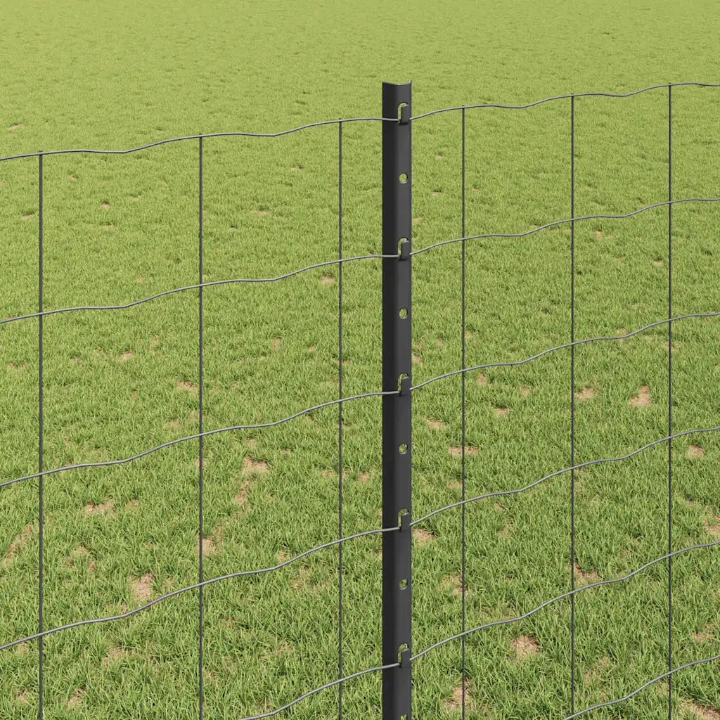 Recinzione da Giardino | Recinzione con Posto Grigio