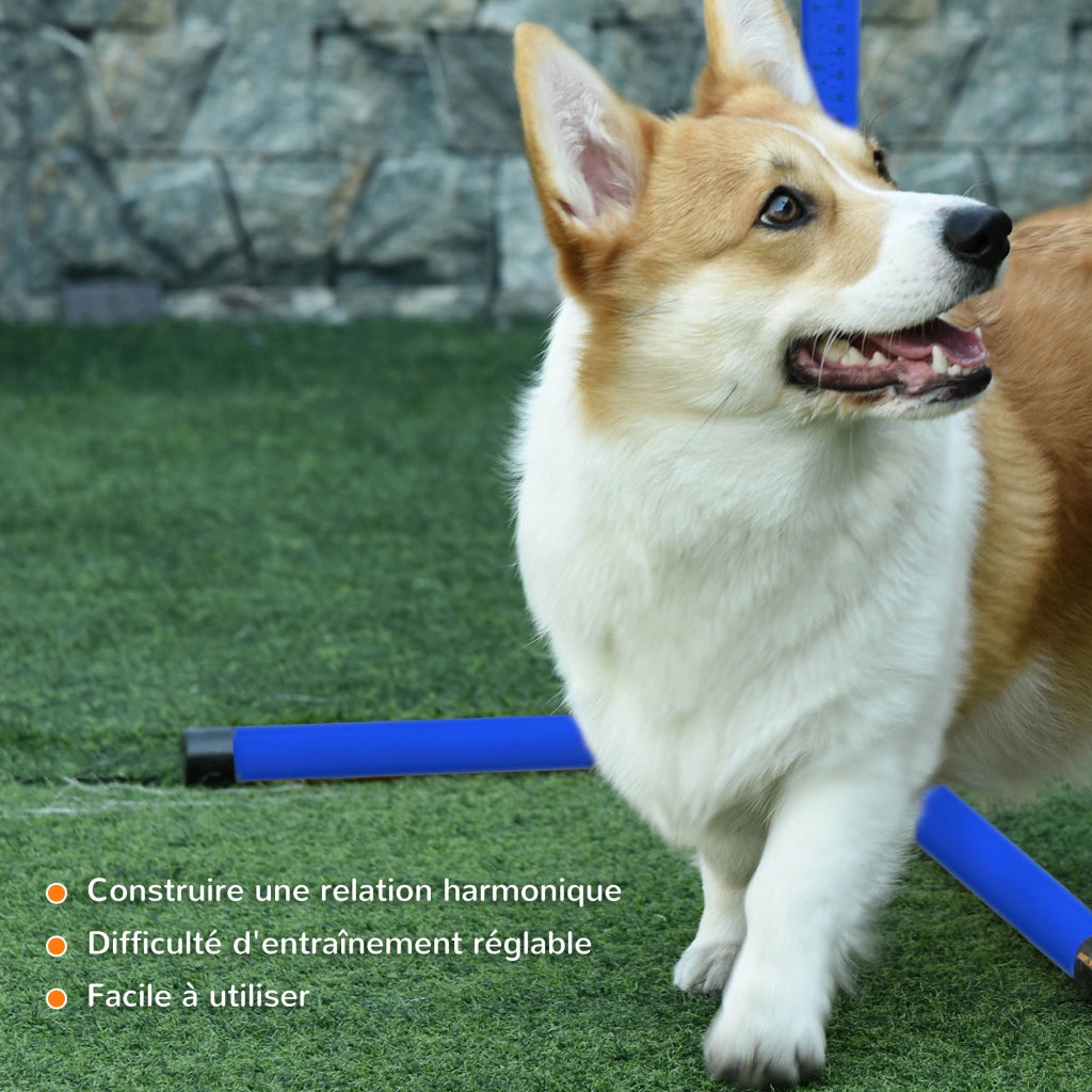 Set Ostacoli Agility per Cani ¨C Xylo ¨C 4 Pezzi Professionale con Borsa